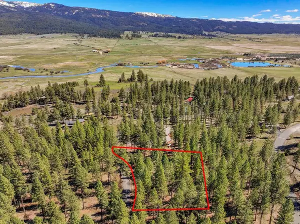 3919 Hot Springs Road, New Meadows, ID 83654