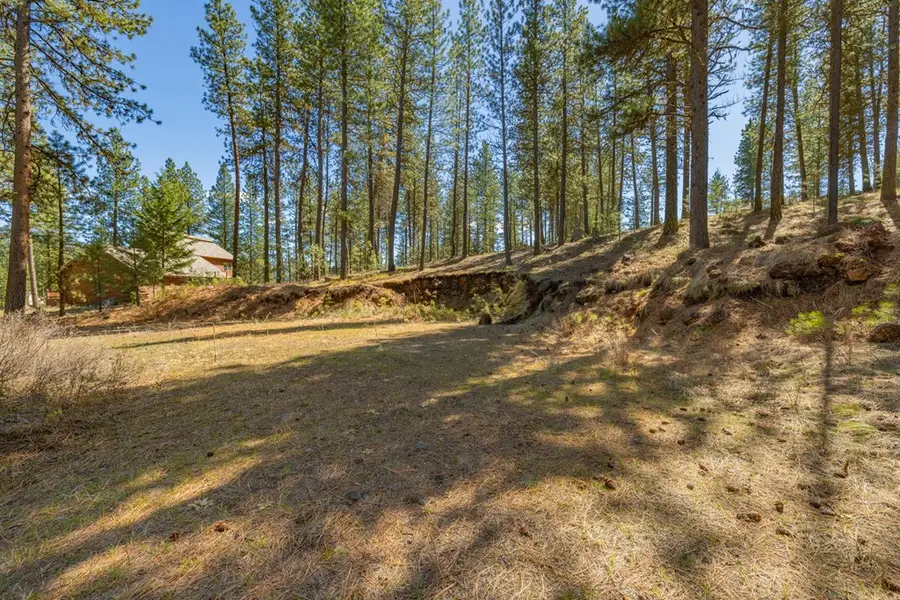 3919 Hot Springs Road, New Meadows, ID 83654 - #3