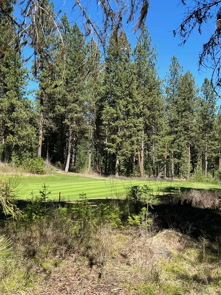 B24 L2 Vardon Road, New Meadows, ID 83654 - #2