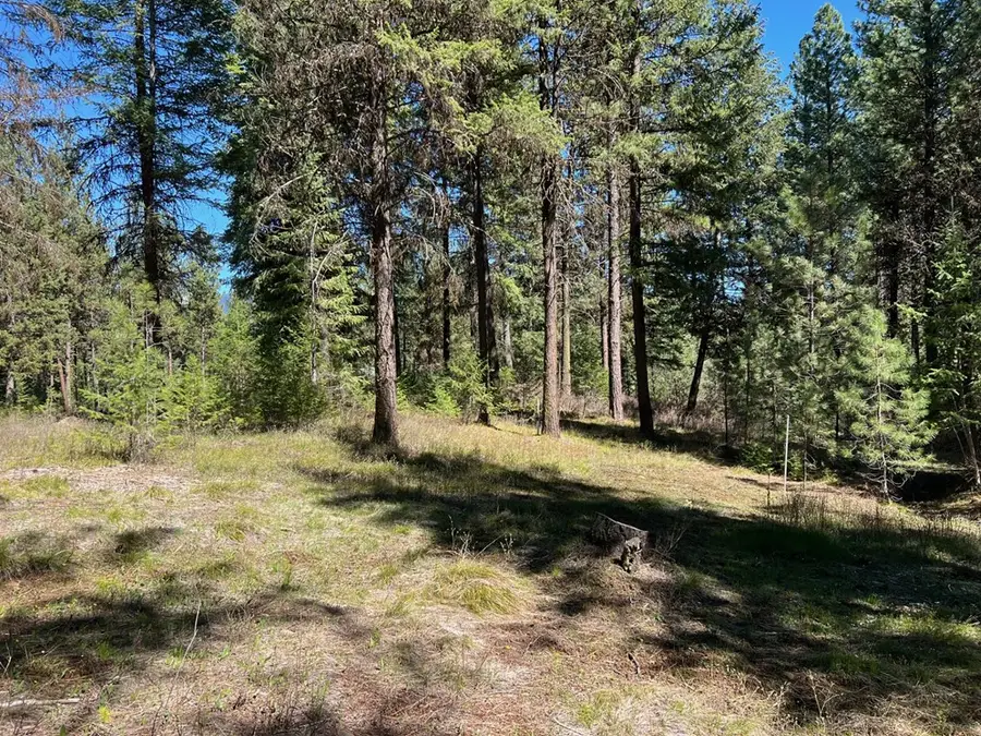 B24 L2 Vardon Road, New Meadows, ID 83654 - #3