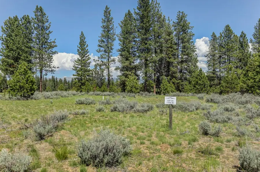 8 Targhee Court, McCall, ID 83638 - #2