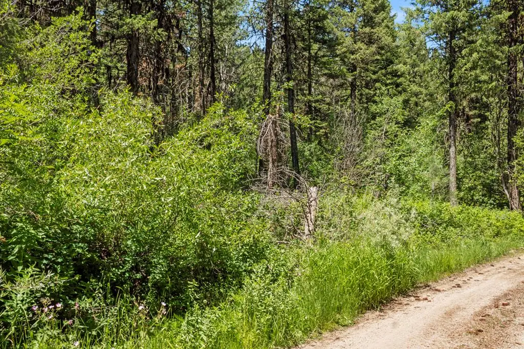 513 Susan Road, Cascade, ID 83611 - #1