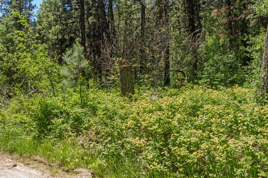 513 Susan Road, Cascade, ID 83611 - #2