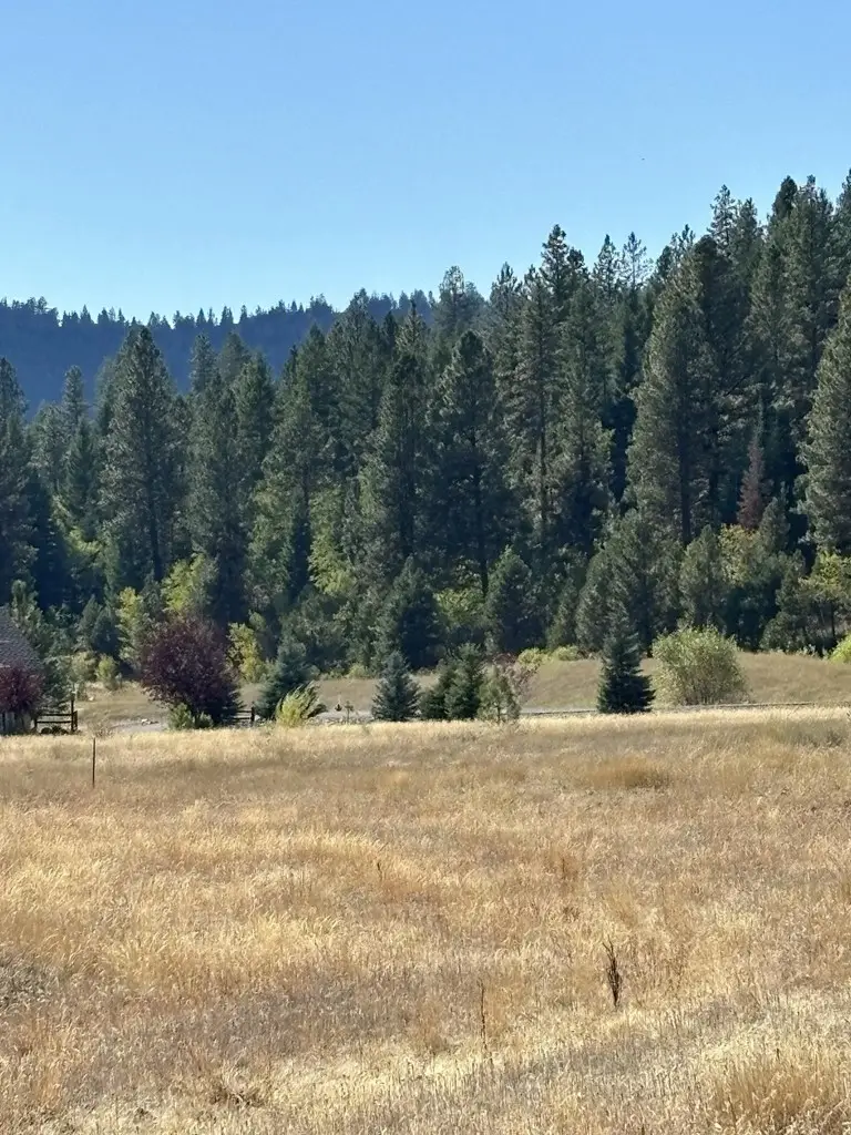 13 Fawnlilly Drive, McCall, ID 83638 - #3