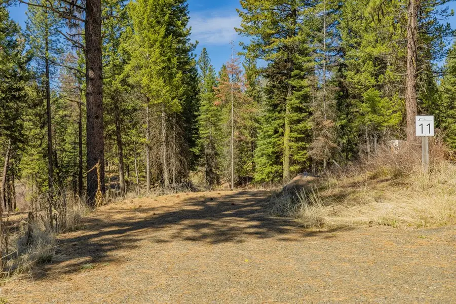 8 York Street, McCall, ID 83638 - #3