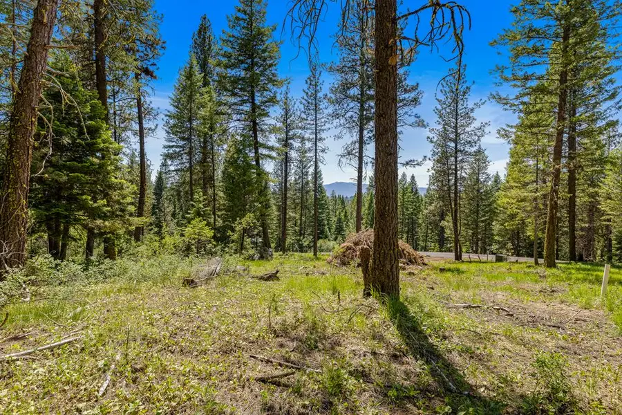 2 Spruce Hill Road, McCall, ID 83638 - #3