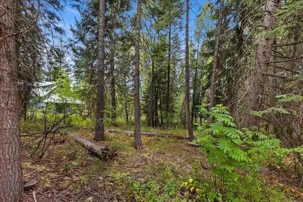 813 Reedy Lane, McCall, ID 83638