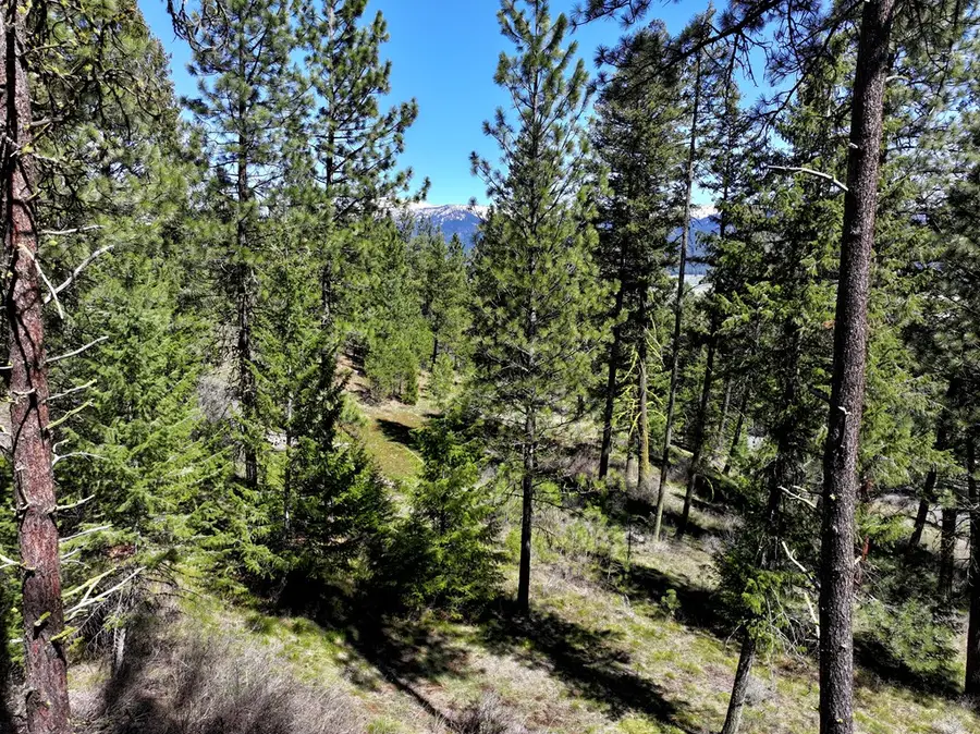 L4 B29 Sorrel Drive, New Meadows, ID 83654 - #2