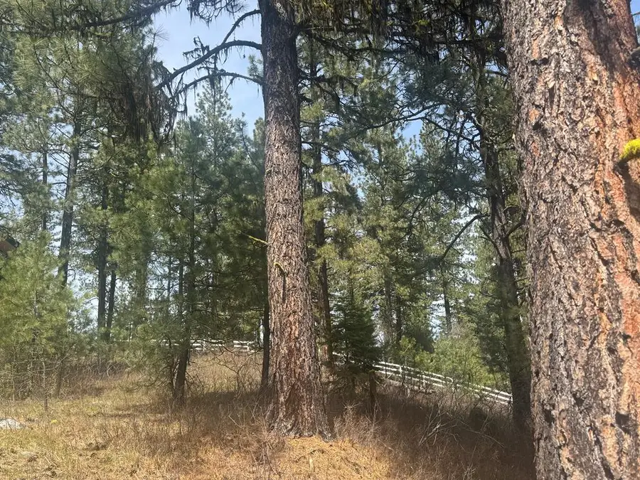 474 Timbercrest Loop, McCall, ID 83638 - #3