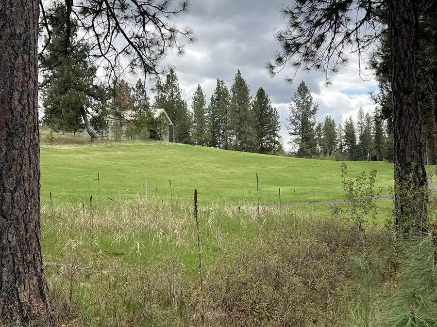 B23 L11 Palmer Court, New Meadows, ID 83654 - #2