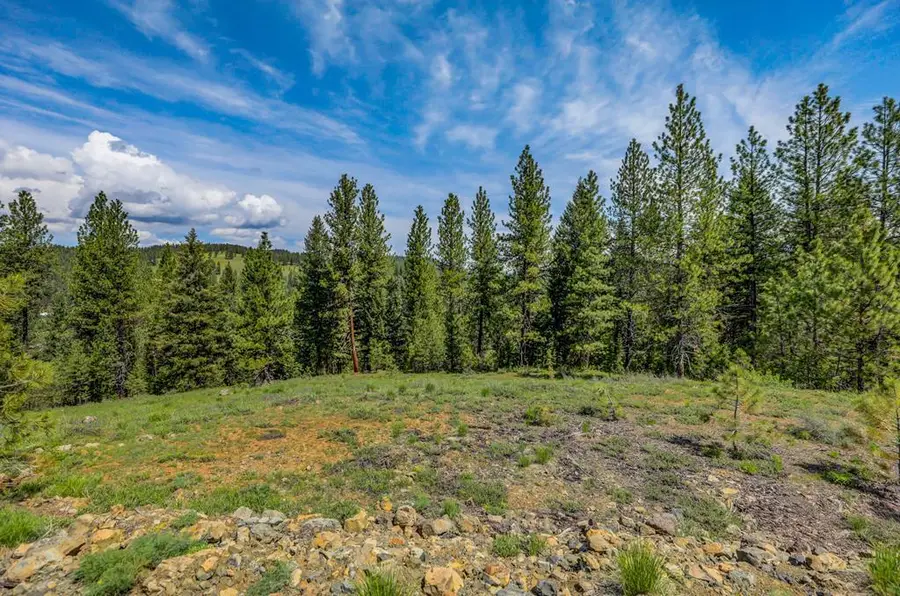 TBD Tamarack View Drive, New Meadows, ID 83654 - #2