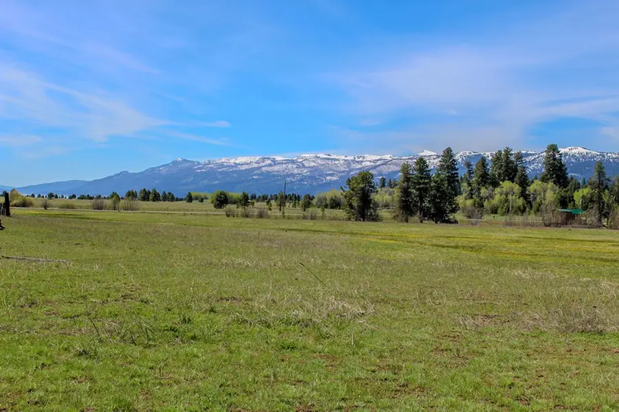 1895 Little Pine Road, Donnelly, ID 83615 - #3