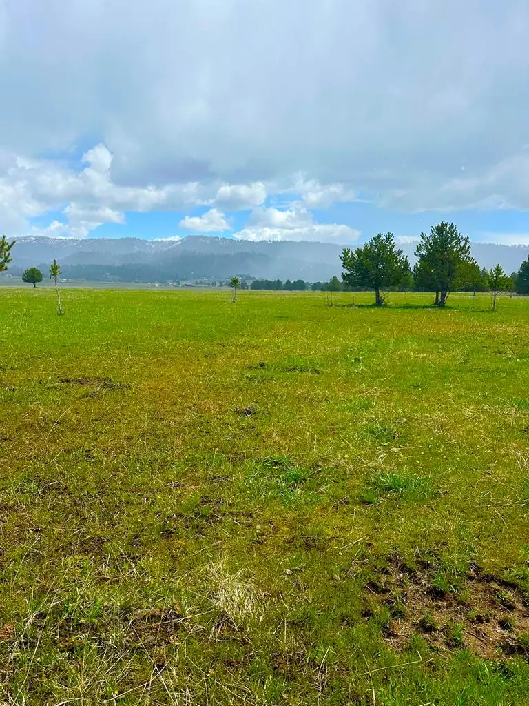 TBA Hwy 55, Cascade, ID 83611 - #1