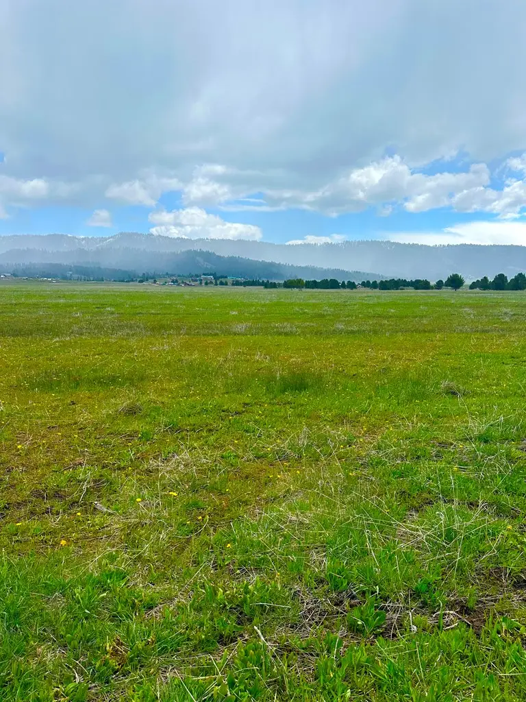 TBA Hwy 55, Cascade, ID 83611 - #2