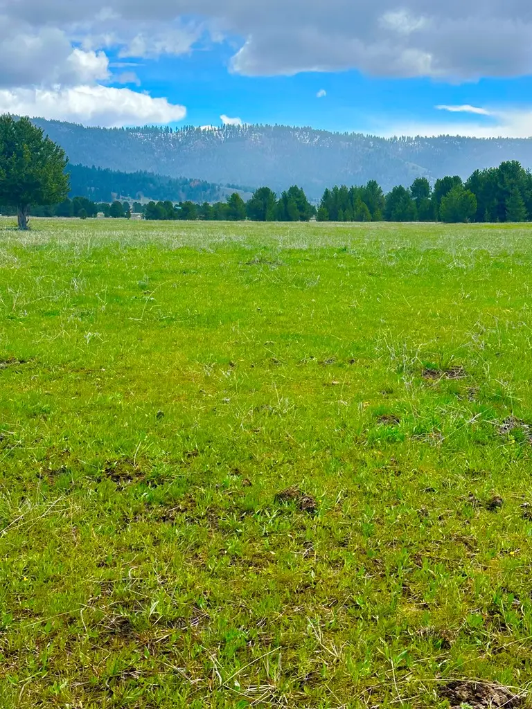 TBA Hwy 55, Cascade, ID 83611 - #3