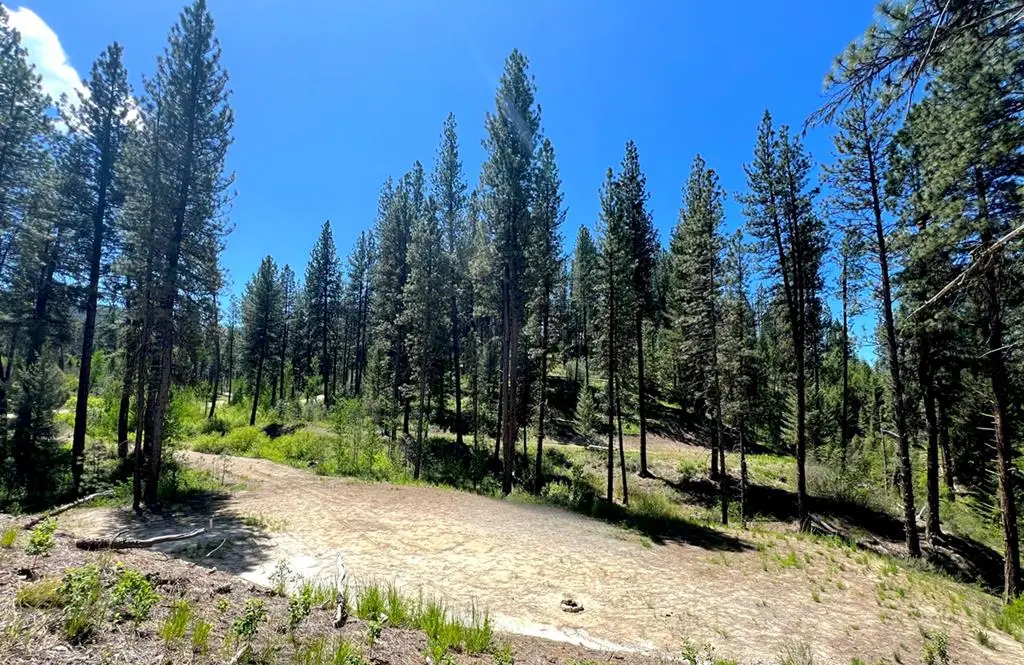 L16 B1 Shaw Gulch Road, Idaho City, ID 83631 - #1