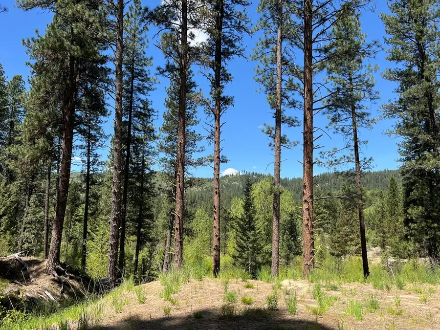 L16 B1 Shaw Gulch Road, Idaho City, ID 83631 - #2