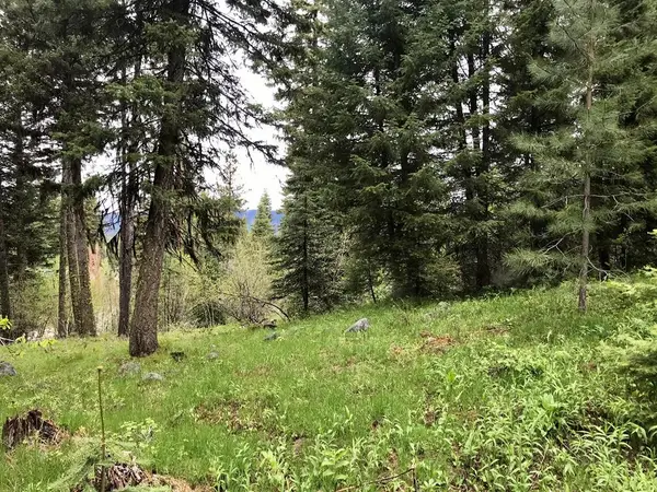 1160 Aspen Ridge Lane, McCall, ID 83638