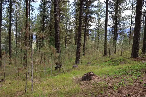 TBD Hot Springs Road, New Meadows, ID 83654