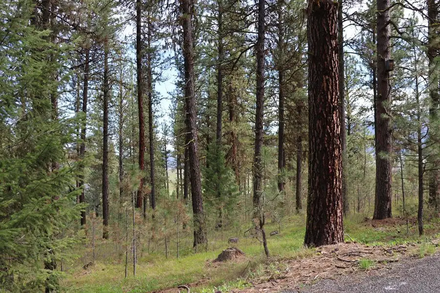 TBD Hot Springs Road, New Meadows, ID 83654 - #2