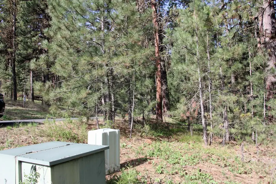 TBD Hot Springs Road, New Meadows, ID 83654 - #3