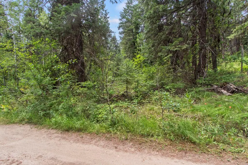 517 Susan Road, Cascade, ID 83611 - #1