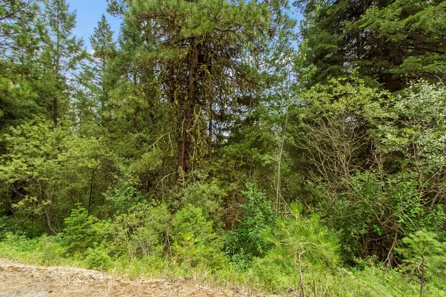 517 Susan Road, Cascade, ID 83611 - #3
