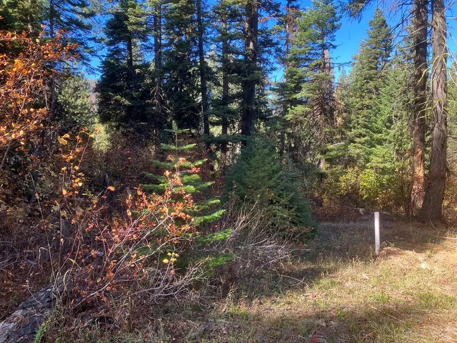 541 West Mountain Road, Cascade, ID 83611 - #2