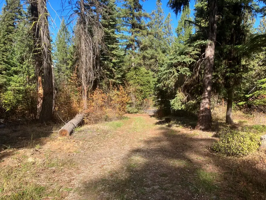 541 West Mountain Road, Cascade, ID 83611 - #3