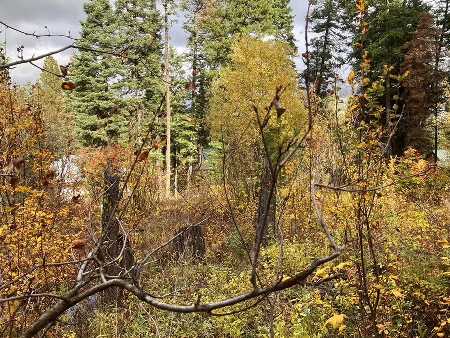 534 Brenda Drive, Cascade, ID 83611 - #2