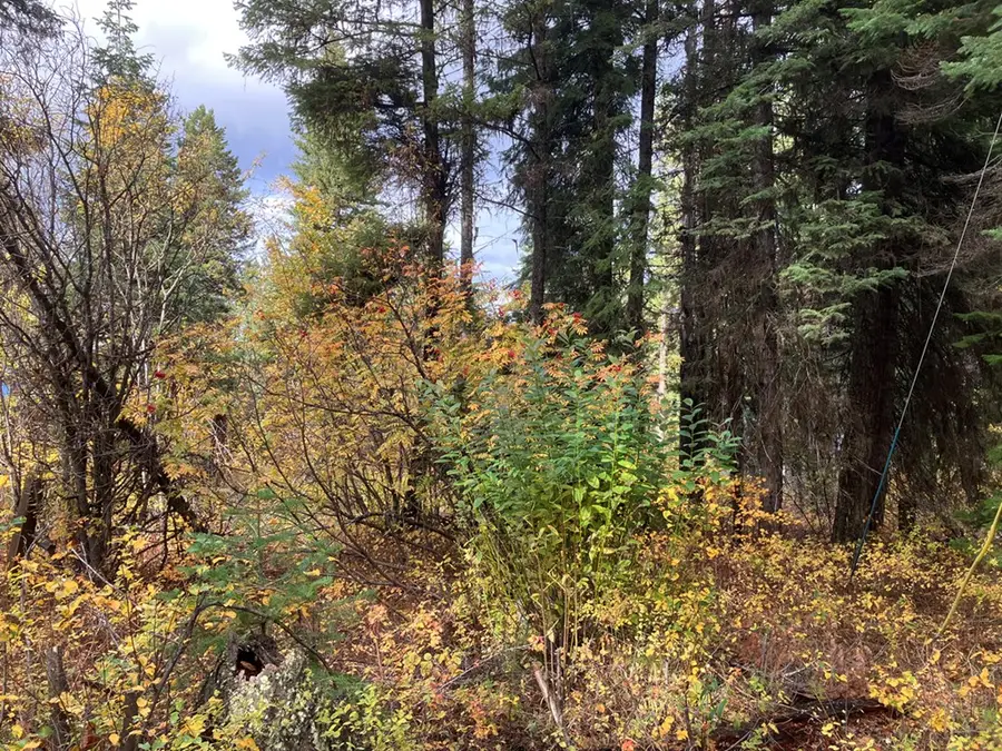 534 Brenda Drive, Cascade, ID 83611 - #3