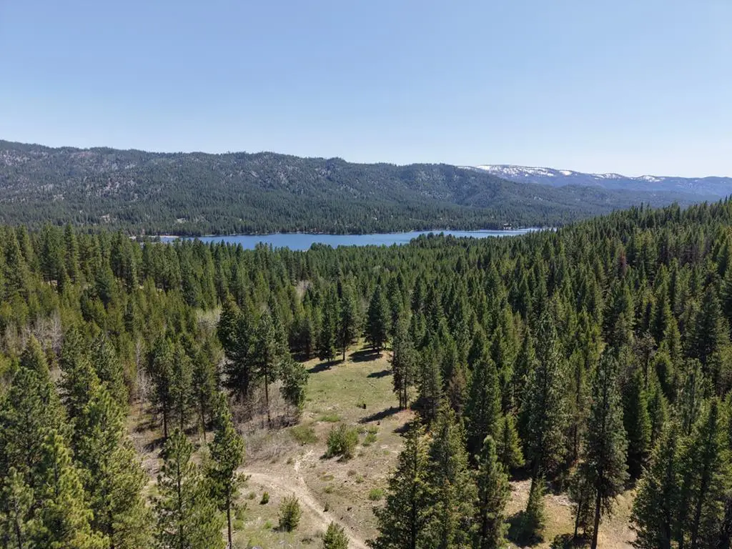 TBD Horsethief Road, Cascade, ID 83611 - #1