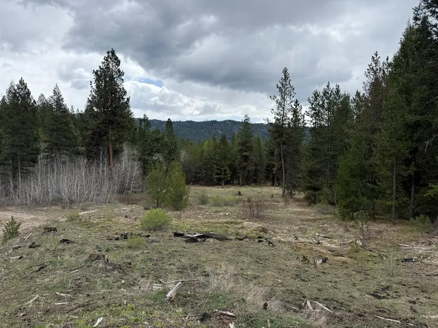TBD Horsethief Road, Cascade, ID 83611 - #3