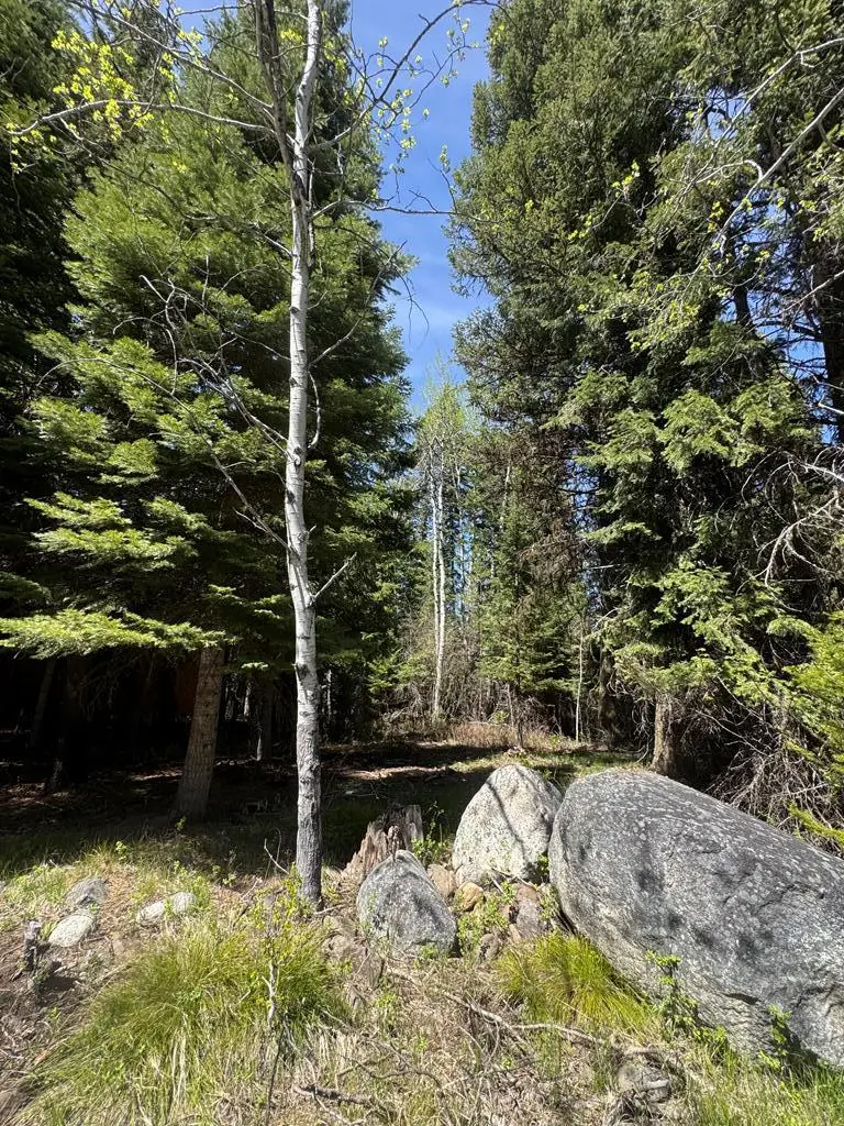 1029 Bitterroot Drive, McCall, ID 83638 - #1
