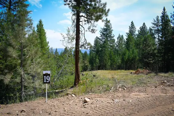 TBD Saddle Rock Drive, Cascade, ID 83611