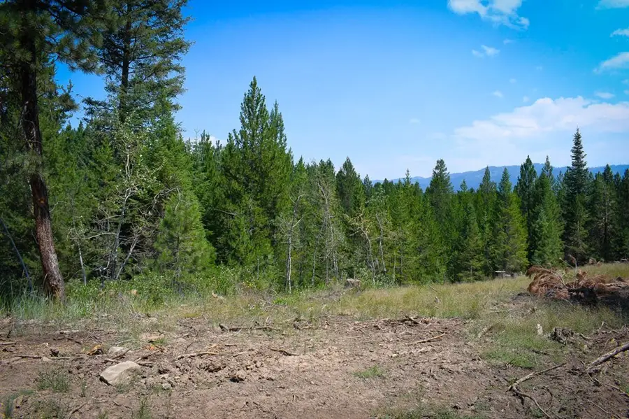 TBD Saddle Rock Drive, Cascade, ID 83611 - #2