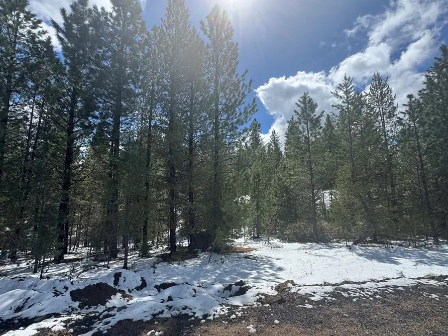 TBD Saddle Rock Drive, Cascade, ID 83611 - #3