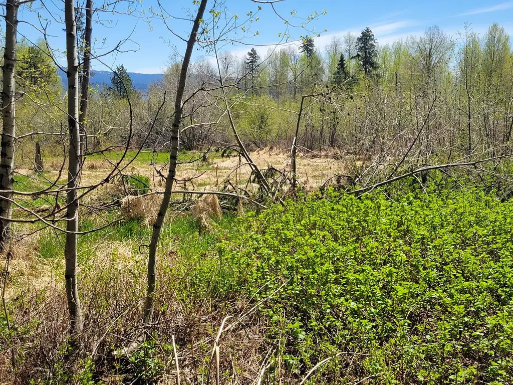 1602 Bear Trail Loop, Donnelly, ID 83615 - #1