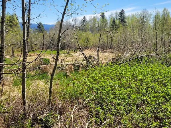 1602 Bear Trail Loop, Donnelly, ID 83615
