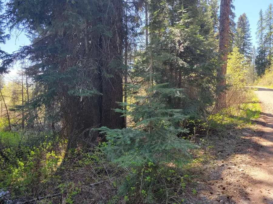 1602 Bear Trail Loop, Donnelly, ID 83615 - #2