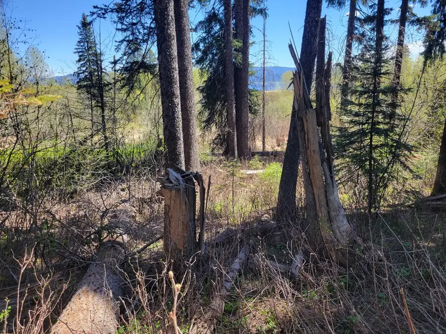 1602 Bear Trail Loop, Donnelly, ID 83615 - #3