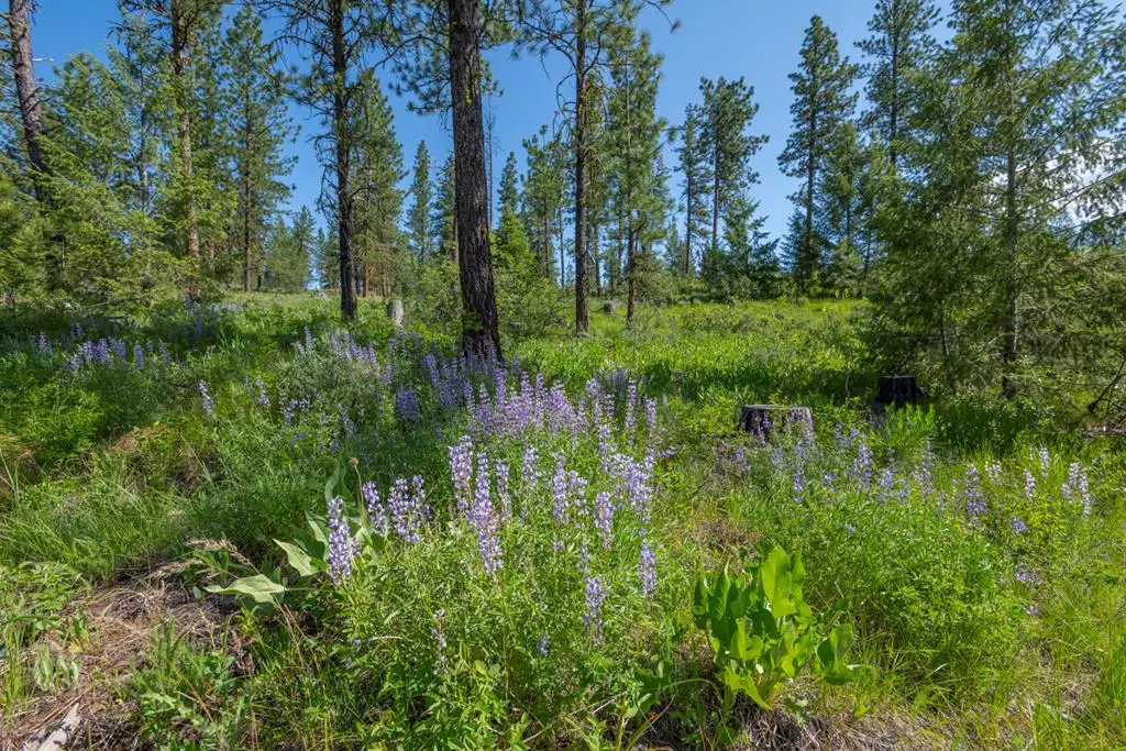 TBD 1 Hwy 95, New Meadows, ID 83654 - #1