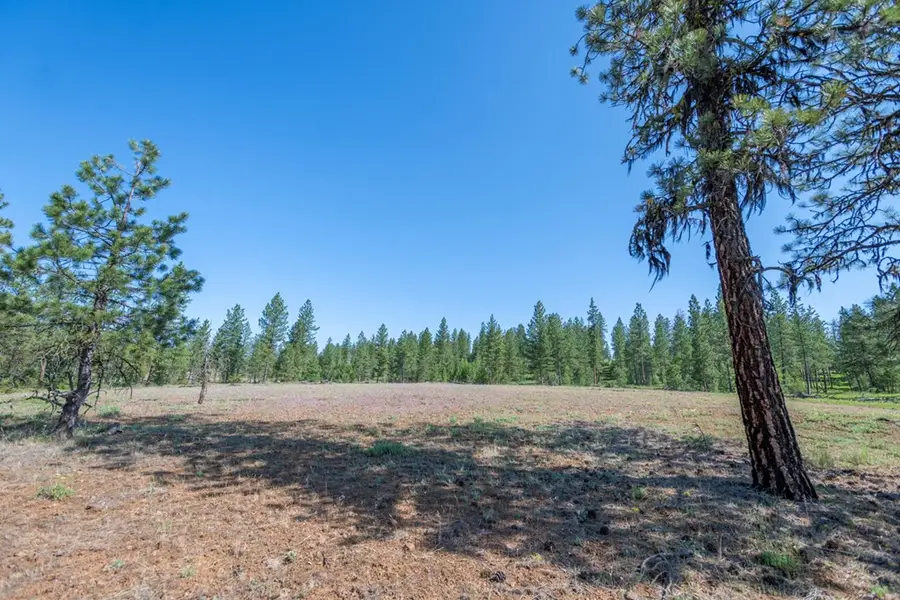 TBD 1 Hwy 95, New Meadows, ID 83654 - #2