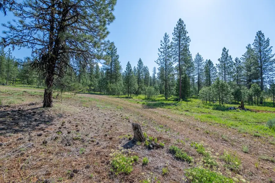 TBD 1 Hwy 95, New Meadows, ID 83654 - #3