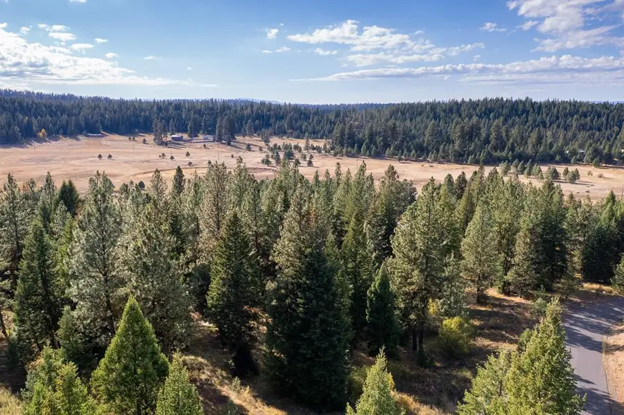 3342 Whitefield Lane, McCall, ID 83638 - #3