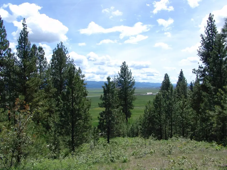 28 Rehn Loop, Cascade, ID 83611 - #2