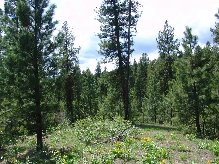 28 Rehn Loop, Cascade, ID 83611 - #3