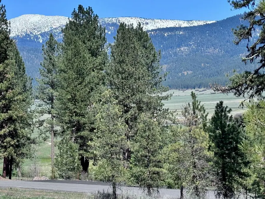 Lot 19 Hot Springs Road #19, New Meadows, ID 83654 - #2