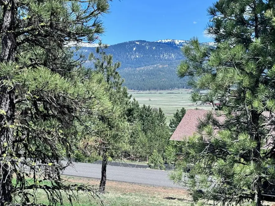 Lot 19 Hot Springs Road #19, New Meadows, ID 83654 - #3