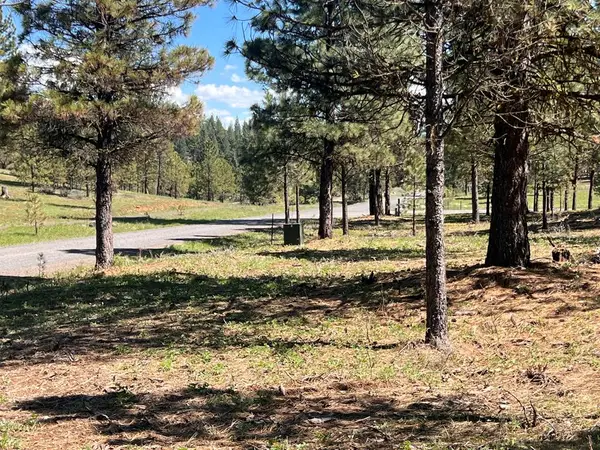 Lot 44 Old Hwy 95, New Meadows, ID 83654